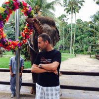 oriol poblenou (@oriolpoblenou) 's Twitter Profile