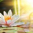 Karla Glover - @Kglover2014 - Twitter