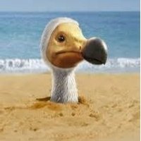 5 Alive Dodo (@alivedodo) 's Twitter Profile