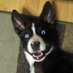 John Joyce (@joycetertag) Twitter profile photo