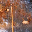 Clayton Moss - @ole_cleetus - Twitter