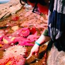 Laurel Rivera - @PittrPattrlala - Twitter