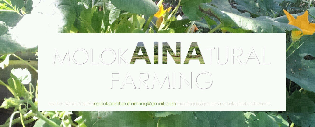 promting healthy living soils, using gods way to produce food with integrity.