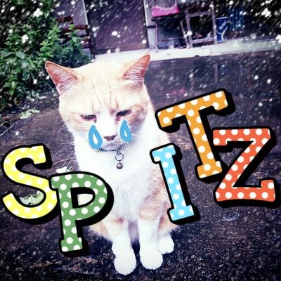 スピッツとネコ♡『ナイフ』が沁みる３月生まれ♪初めて聴いたスピッツは1993年にラジオから流れた『裸のままで』初購入1995年アルバム『ハチミツ』次がシングル2001年『夢追い虫』(この間6年？何してたのおバカ！)