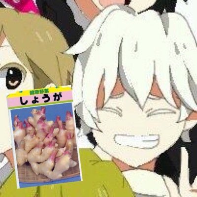 しょうがだよ!!( 'ω' )