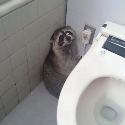れいかさんのプロフィール画像