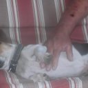 kathy abrams - @abramsmallie - Twitter