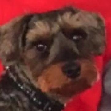 Baron_BW's profile picture. Videogames are my life, no games no life.