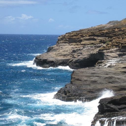 SaveOnWorkComp's profile picture. Your Work Comp Information Source