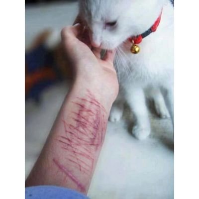 1999. No me mires, soy un monstruo. Sal de aquí antes de que acabes como yo. Muerta en vida. Solo busco ser feliz. Si me vas a juzgar, lárgate. Cuenta anónima.