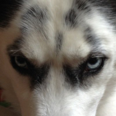 rjk082471's profile picture. 