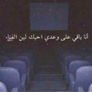 insta: sh_alwassabi