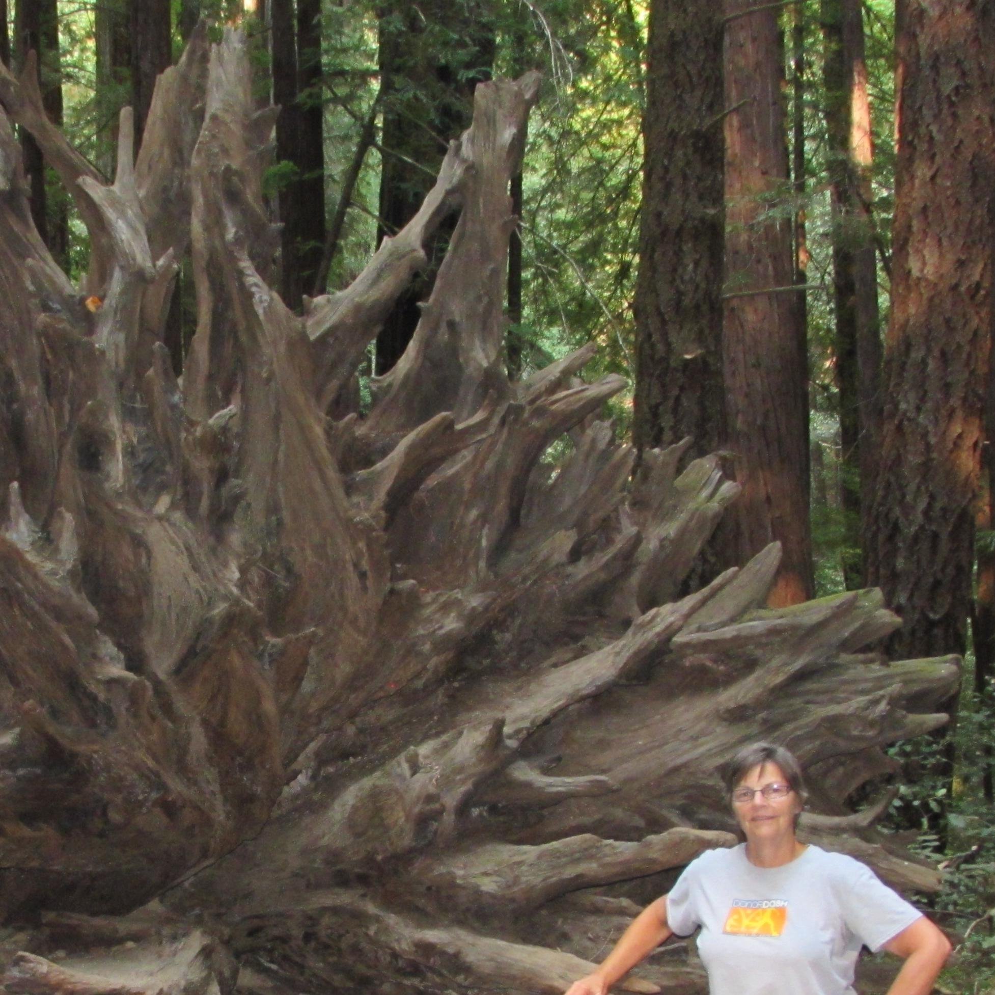 Wife, mom, Gramma, mom-in-law.  Love to walk, jog, bike, hike, travel.  Chef wannabe, artist  - in love with  Colorado!