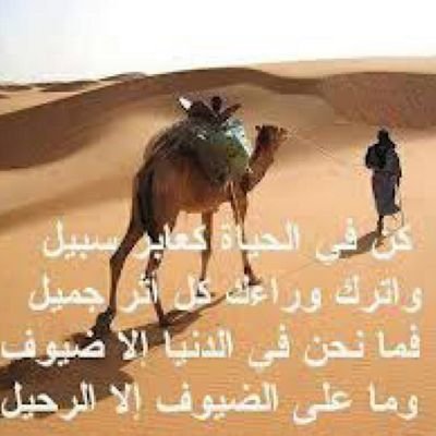 qwqwqw110's profile picture. التظَاهُر بالسعَادَة ،أسهلُ مِنْ شَرح سَببْ حُزنَك لِلأخرينْ