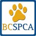 BC SPCA Richmond (@bcspca_richmond) Twitter profile photo BC SPCA Richmond (@bcspca_richmond) Twitter profile photo