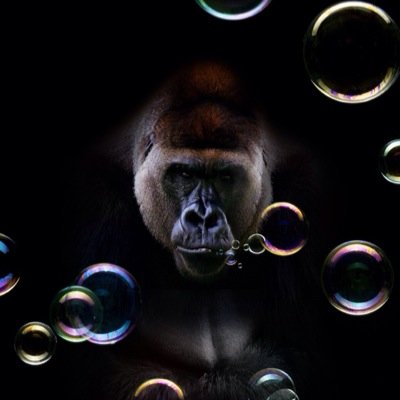 LEVELTURADIO's profile picture. 