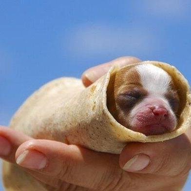 darius_skipper's profile picture. Noña god damn buidness