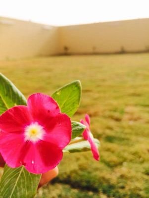 ‏‏‏َّسبِحٌأّنِ أّلَلَهِ وِبِحٌمَدِهِ عٌدِدِ خَلَقِهِ وِرضأّء نِفَِّّسهِ وِزِّنِةّ عٌرشٍهِ إمَدِأّدِ ګلَمَأّتّهٌِ