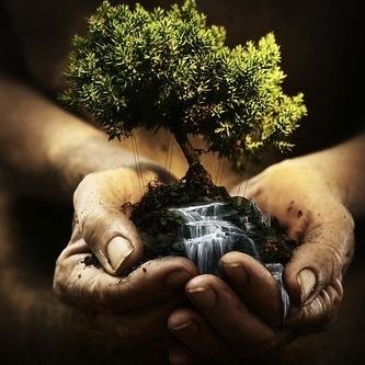 bonsai_art_jp's profile picture. 盆栽で作った小宇宙をお届け☆ミニ盆栽もツイート予定♥