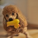 Eddie Chow - @wonderboxchow - Twitter