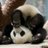 DongKeyKoo's profile image