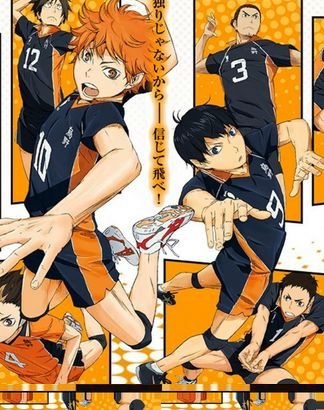 アニメ『ハイキュー‼』にどはまり                                とっくに成人