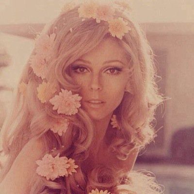 VelvetAngel_'s profile picture. #NewAccount @BlackCarnation_