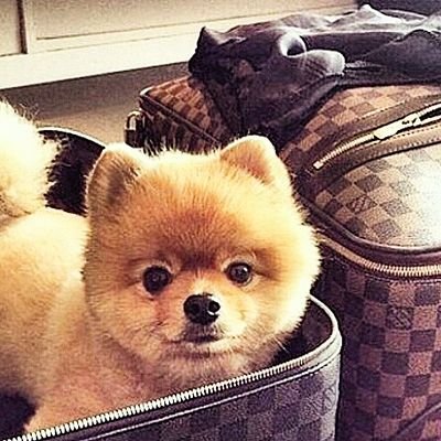 lessley62's profile picture. 