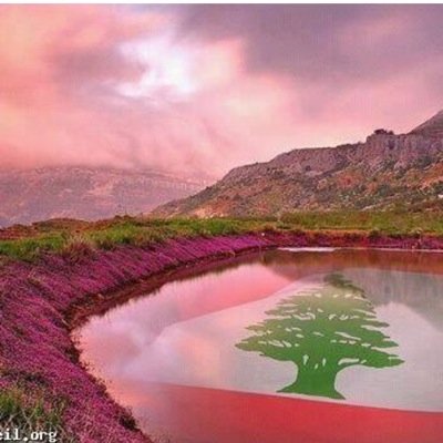 مواطن لبناني