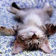 LouaneTyphanie's profile picture. 