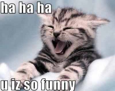 Funny Stuff- If you an't talking 'FOLLOW' I don't wanna talk   Follow us We Follow back