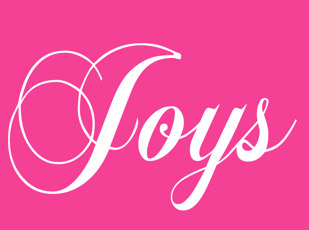 2_ _Le_joys_copy