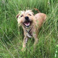 Beckie Williams (@bexterwilliams) 's Twitter Profile