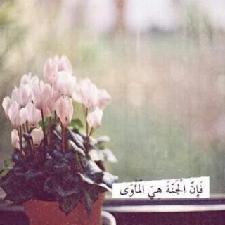 ‏أستغفر وأذكر ربك. .  وأعمل لأخرتك فإنها فانية مهما طالت ! أسأل الله أن يبلغنا آلجنة من غير حسآب ولآ سآبقة عذآب♡