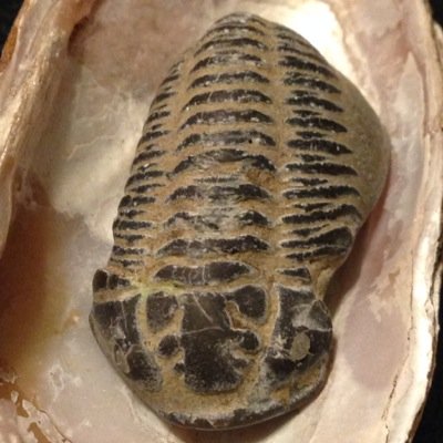 tcarter_edwards's profile picture. Principal and life-long learner with the UCDSB. My WHYs include student learning, student voice, & creating opportunities for children and their families.