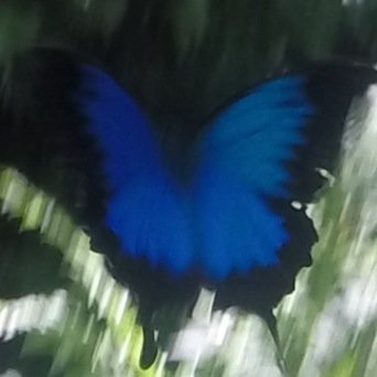 bpreston622's profile picture. 13, single, lachie, jared