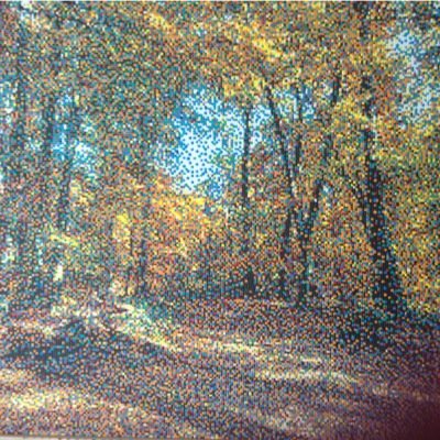 brianodonovan3's profile picture. 