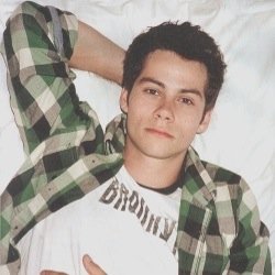 DylanTo2MilI's profile picture. Get Dylan O'Brien to 2 Million followers!