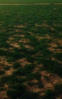 6afcc5acd0bc4a0's profile picture. 