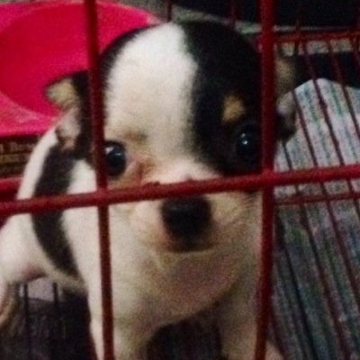DoSy15's profile picture. 