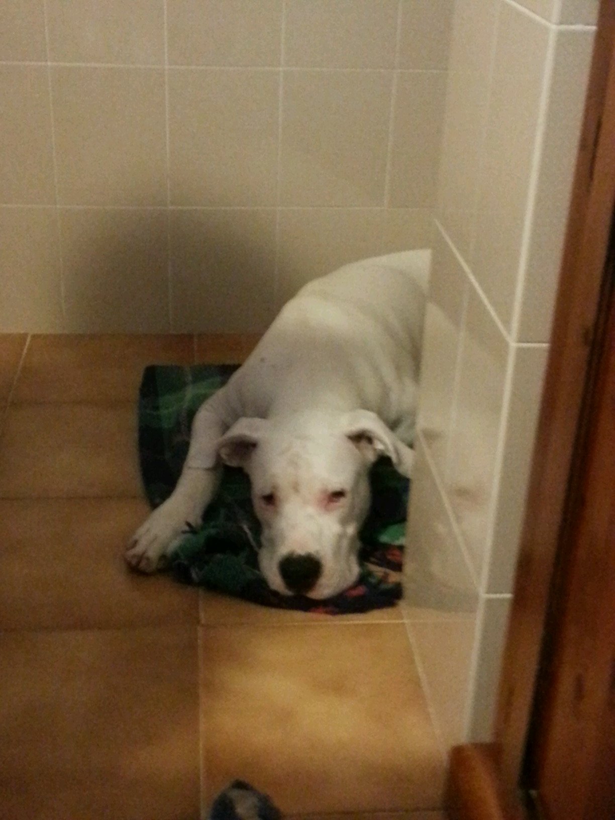 cricrilongo03's profile picture. 