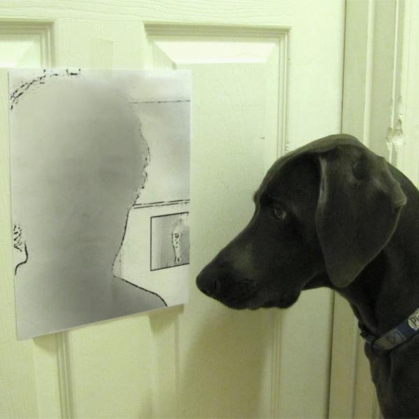 alugokitinete's profile picture. Alugo kitinete, serve para pessoa só ou mesmo casal.