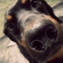 Guilhermina Silva - @MirnaSilva89 - Twitter