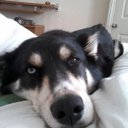 lyndsay brown - @lyndsaybrown1 - Twitter