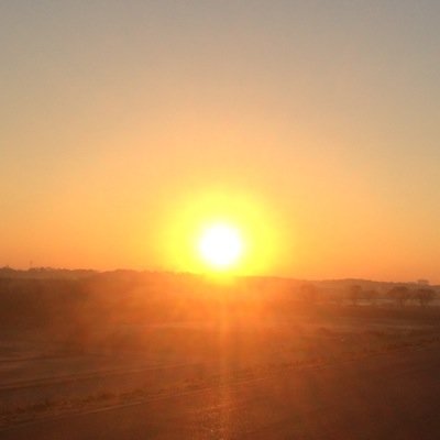 y_okayasu's profile picture. URLは工事中です暫くお待ちください