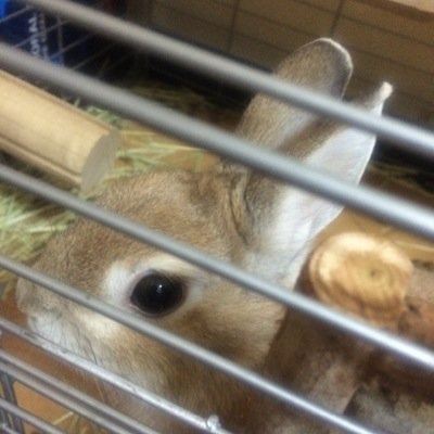 仙台のセフレ募集(´･Д･)」