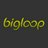 BigLoopStudios's profile image