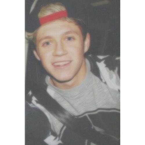 hsavedstoran's profile picture. Hey free follow bc u're fab.  can you follow @niallshlag please ? Love yooou xx