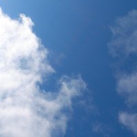 いくよん (@iku737nak21) Twitter profile photo