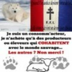 Writing - Poetry - Defend, protect, share knowledge about wolf and wildlife - Sailing - Humanity - Universalism - Walk - Photography - Mountain ...